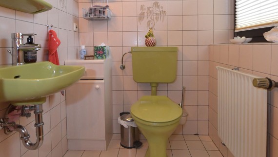 Zeleno kupatilo za goste iz 80-ih godina